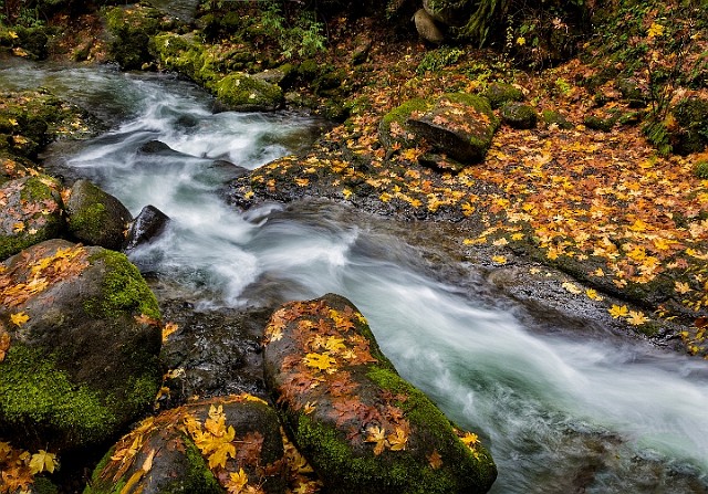 Multnomah Creek 16-6554.jpg